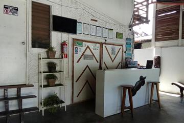 Photo 25