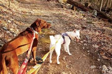 Hiking