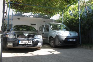 Photo 45