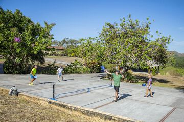 Sport court
