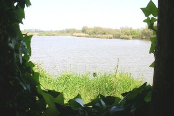 Lake view