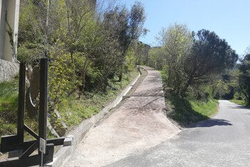 Hiking