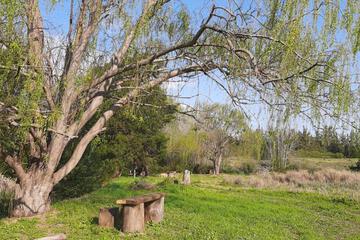 Photo 32
