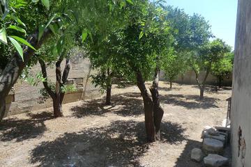 Photo 49