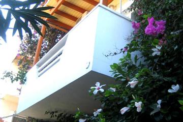 Photo 44