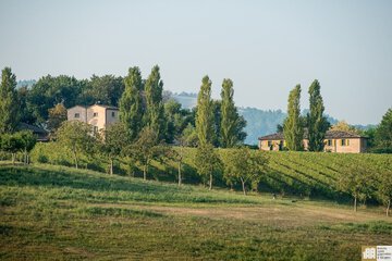 Ecotours