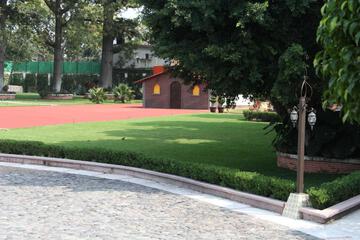 Photo 26