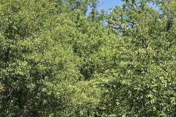 Terrace/Patio 63 of 74