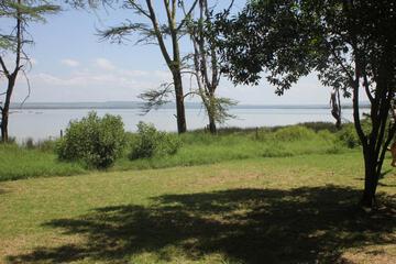 Photo 24
