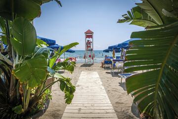 Beach