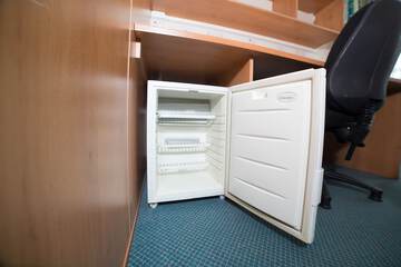 Mini-refrigerator
