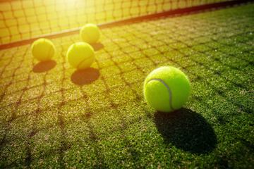 Tennis court