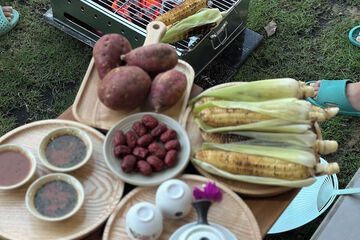 BBQ/picnic area