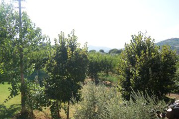 Guestroom View