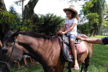 Horseback riding