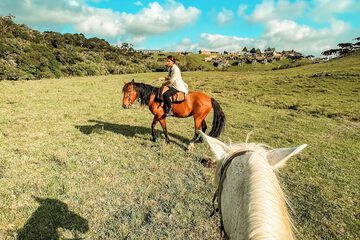 Horseback riding