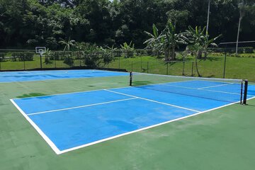 Basketball court