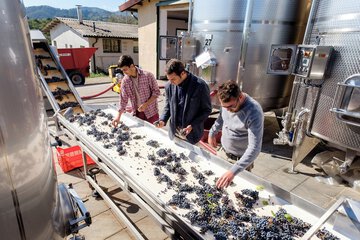 Winery