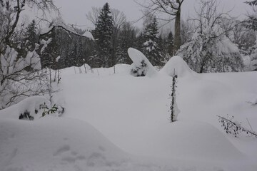 Snow and ski sports