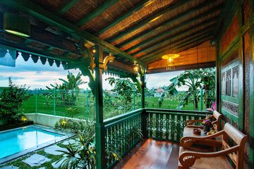 View from room