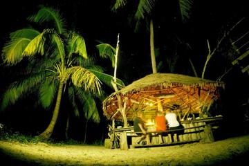 Photo 50