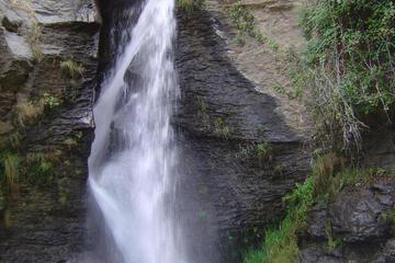Photo 52