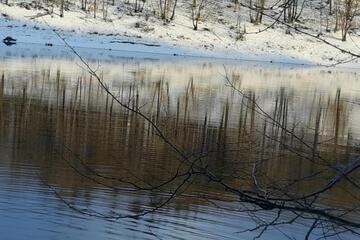 Photo 42