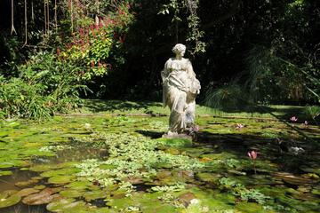 Photo 33