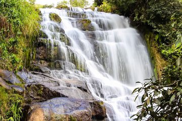 Natural pool