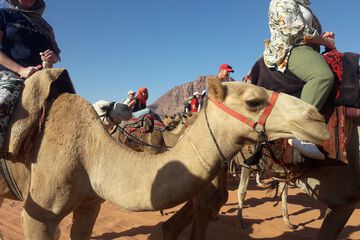 Horseback riding