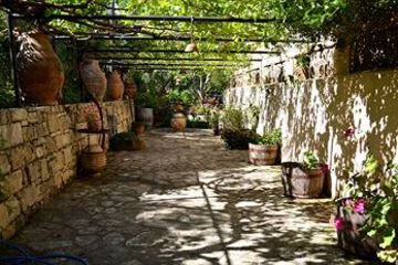 Terrace or Patio