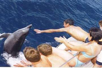 Ecotours