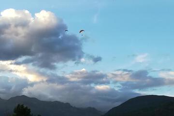 Photo 46