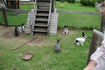 Photo 43
