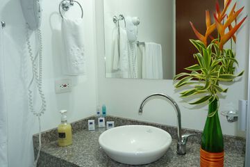 Bathroom sink