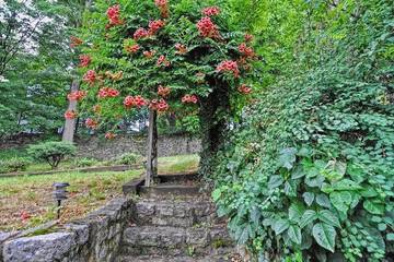 Hotel Exterior 43 of 47