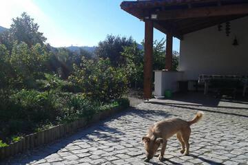 Photo 31