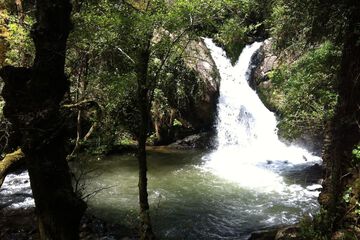Hiking