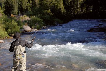 Fishing
