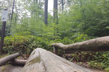 Hiking
