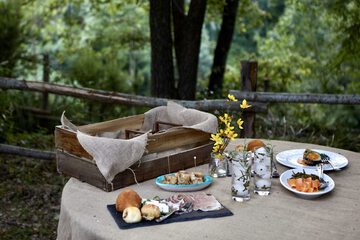 BBQ/picnic area