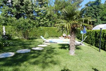 Photo 31