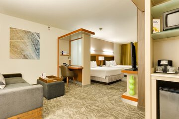 SpringHill Suites by Marriott McAllen Convention Center