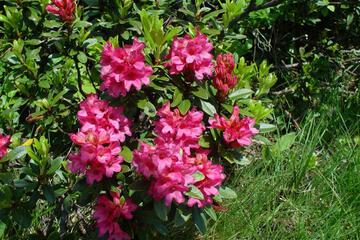 Photo 82
