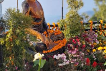 Photo 27