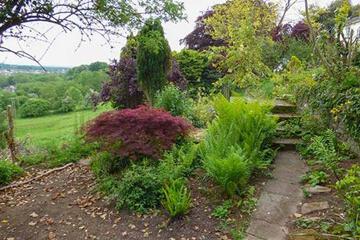 Photo 43