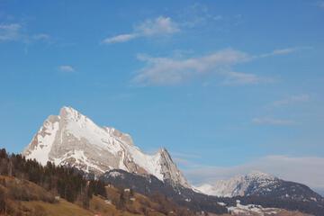 Photo 42