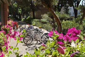 Bicycling
