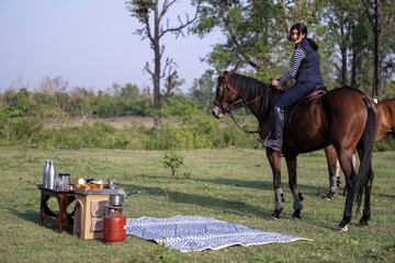 Horseback riding
