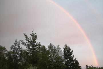 Photo 58